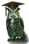 owl